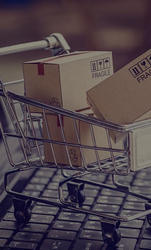 Ecommerce web development