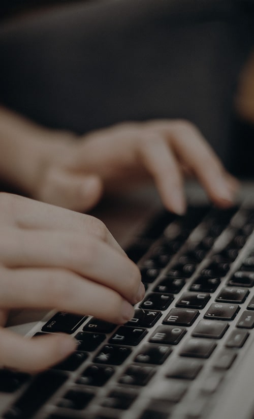 WordPress Web